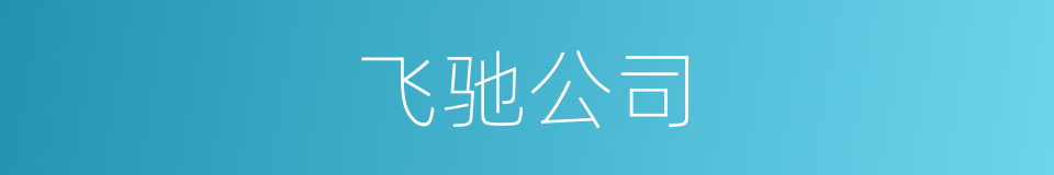 飞驰公司的同义词