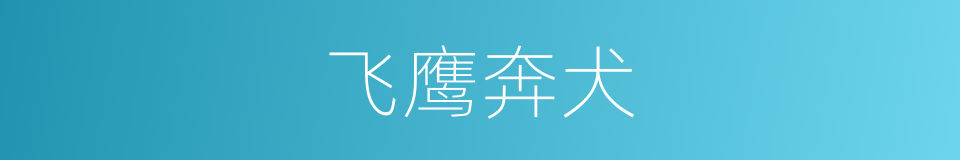飞鹰奔犬的意思