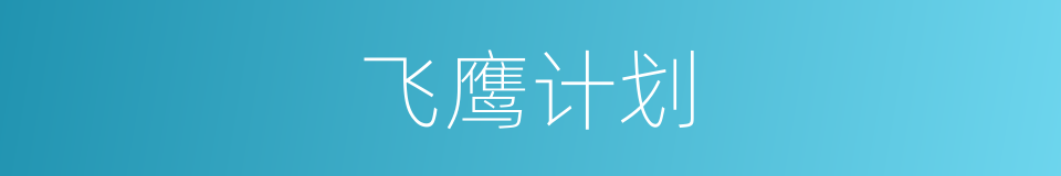 飞鹰计划的同义词