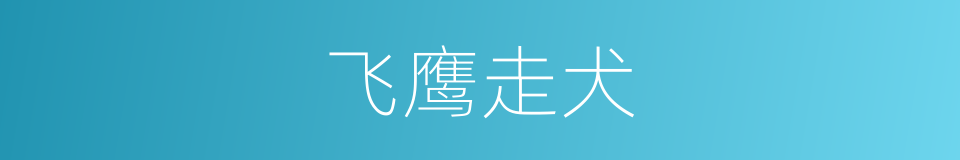 飞鹰走犬的意思