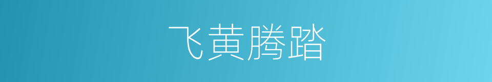 飞黄腾踏的意思