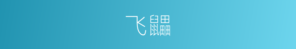 飞鼺的意思