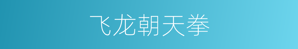 飞龙朝天拳的同义词