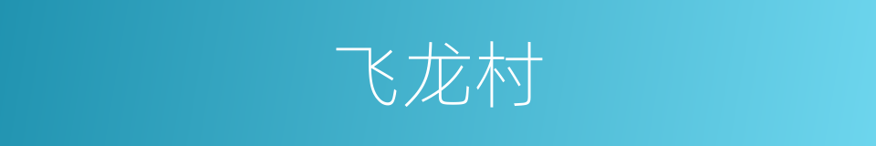 飞龙村的同义词