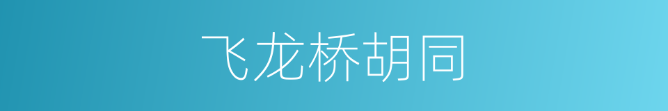 飞龙桥胡同的同义词