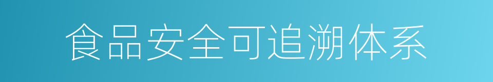 食品安全可追溯体系的同义词