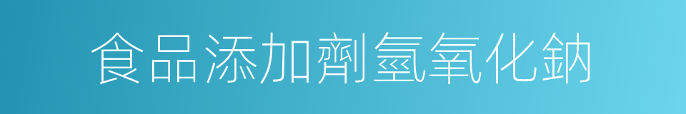 食品添加劑氫氧化鈉的同義詞
