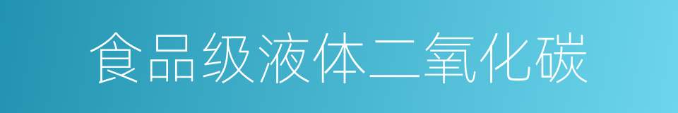 食品级液体二氧化碳的同义词