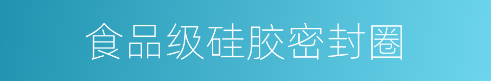 食品级硅胶密封圈的同义词