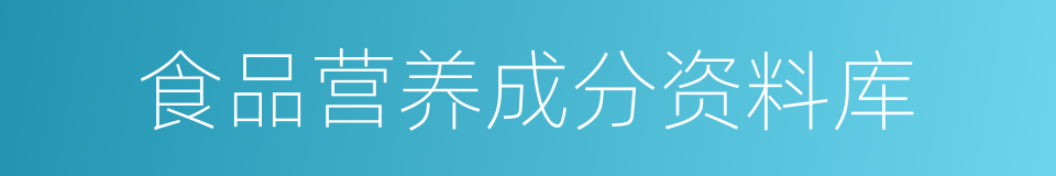 食品营养成分资料库的同义词