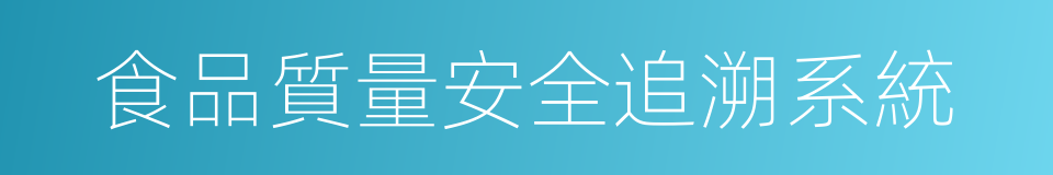 食品質量安全追溯系統的同義詞
