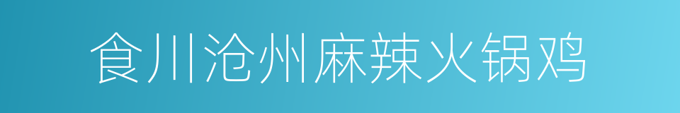 食川沧州麻辣火锅鸡的同义词