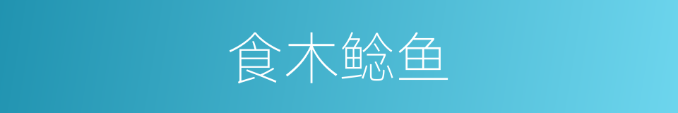 食木鲶鱼的同义词
