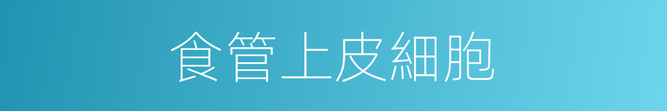 食管上皮細胞的同義詞