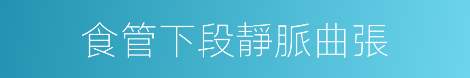 食管下段靜脈曲張的同義詞