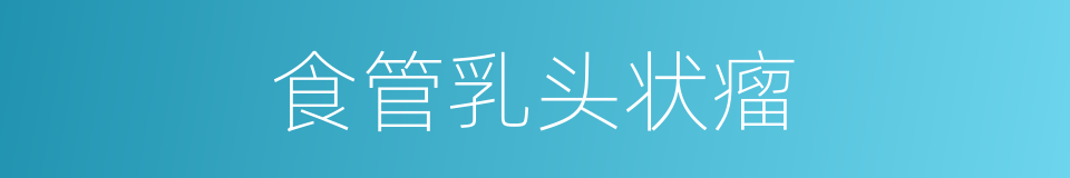 食管乳头状瘤的同义词