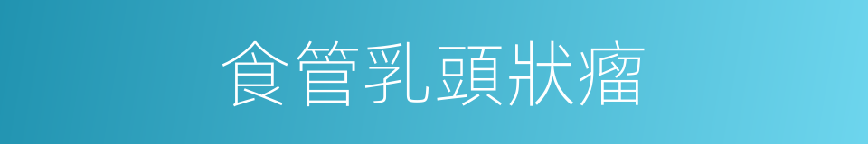 食管乳頭狀瘤的同義詞