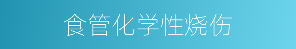 食管化学性烧伤的同义词