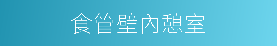 食管壁內憩室的同義詞