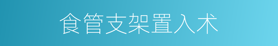 食管支架置入术的同义词