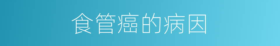 食管癌的病因的同义词