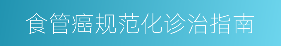 食管癌规范化诊治指南的同义词