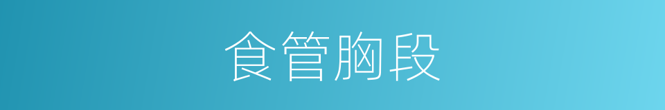 食管胸段的同义词