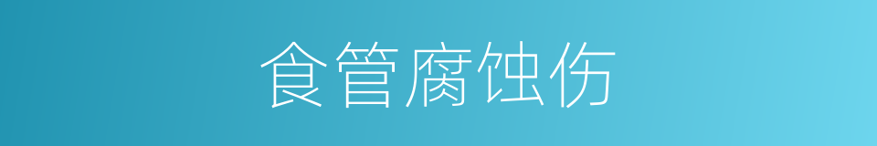 食管腐蚀伤的同义词