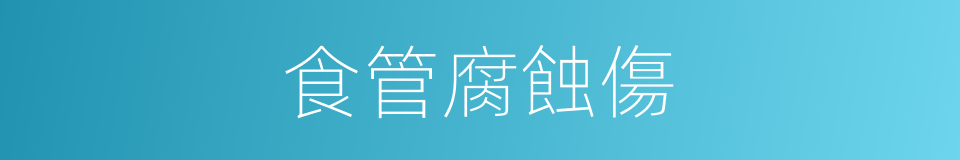 食管腐蝕傷的同義詞