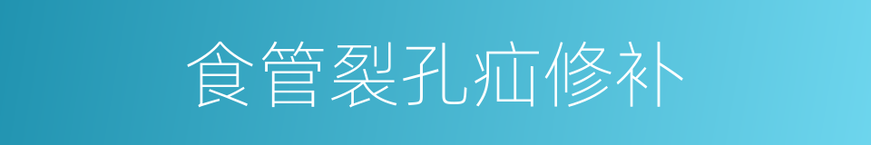 食管裂孔疝修补的同义词