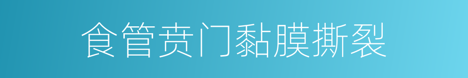 食管贲门黏膜撕裂的同义词