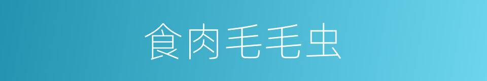食肉毛毛虫的同义词
