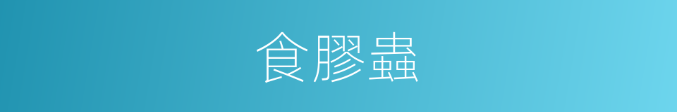 食膠蟲的同義詞