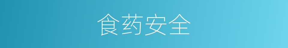 食药安全的同义词