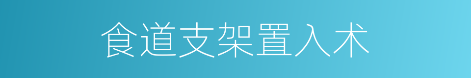 食道支架置入术的同义词