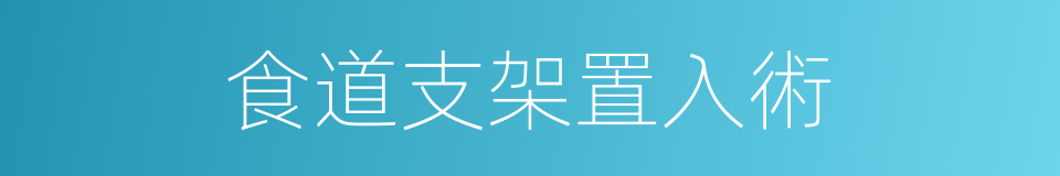 食道支架置入術的同義詞