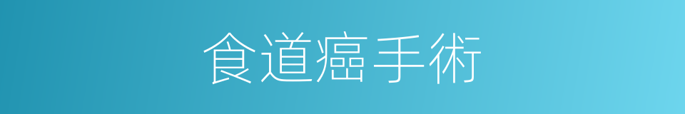 食道癌手術的同義詞