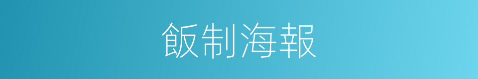 飯制海報的意思