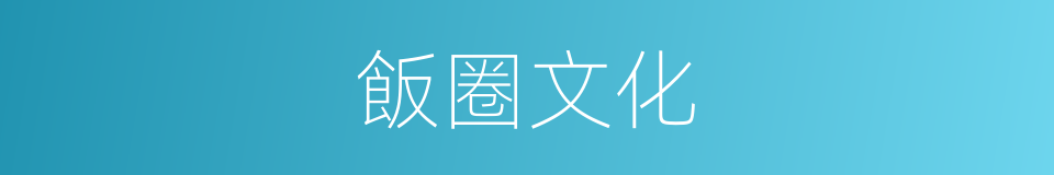 飯圈文化的同義詞