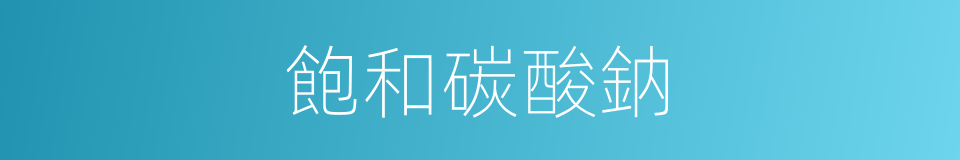 飽和碳酸鈉的同義詞