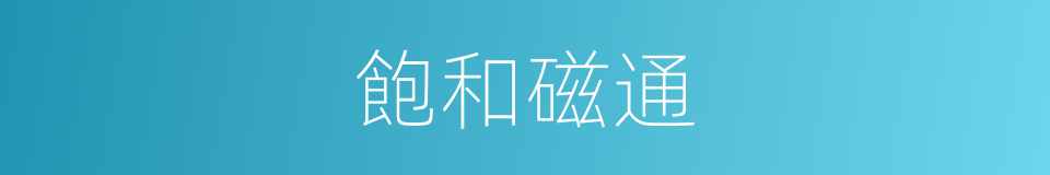 飽和磁通的同義詞