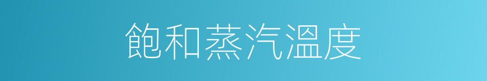 飽和蒸汽溫度的同義詞