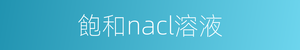 飽和nacl溶液的同義詞