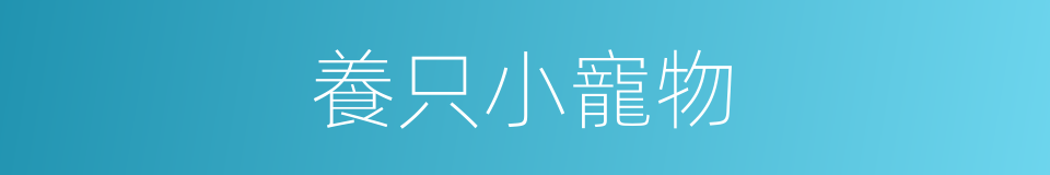 養只小寵物的同義詞