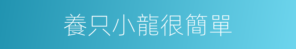 養只小龍很簡單的同義詞