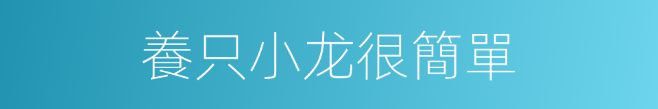 養只小龙很簡單的同義詞