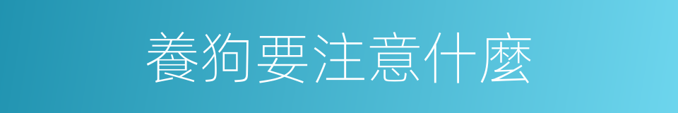 養狗要注意什麼的同義詞