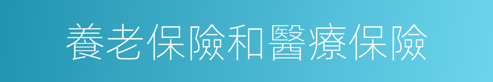 養老保險和醫療保險的同義詞