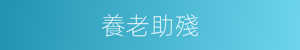 養老助殘的同義詞