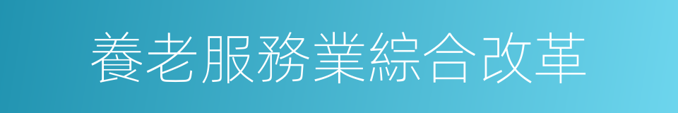 養老服務業綜合改革的同義詞